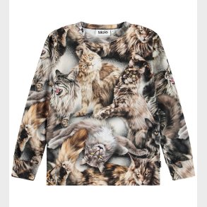 Molo T-shirt - Rill - Cattitudes