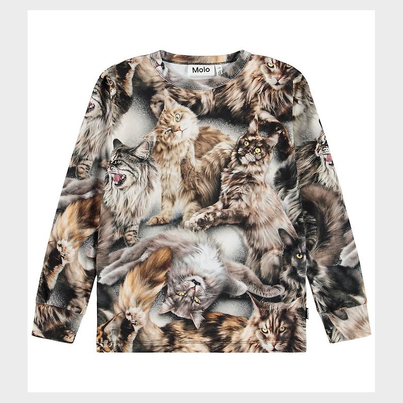 Molo T-shirt - Rill - Cattitudes