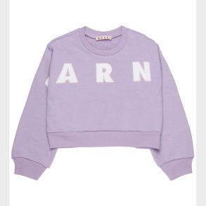 Marni Sweatshirt - Light Violet