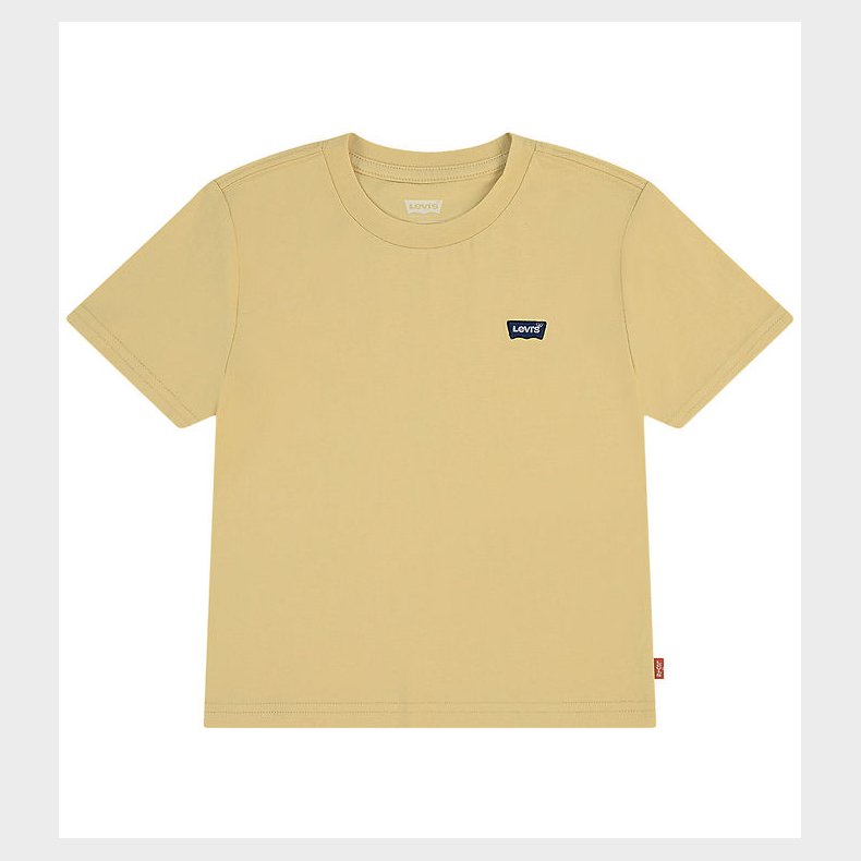 levis T-shirt - Raffia