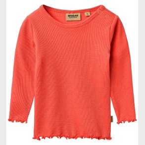 Wheat Bluse - Rib - Ida - Watermelon