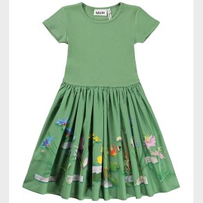 Molo Kjole - Cissa - Flora Collector