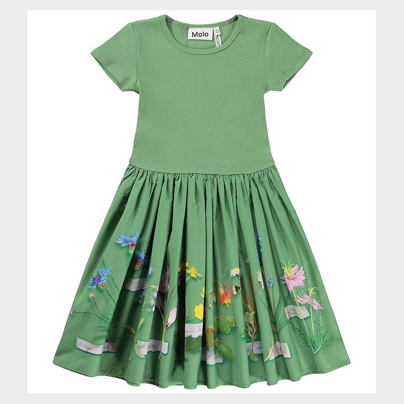 Molo Kjole - Cissa - Flora Collector