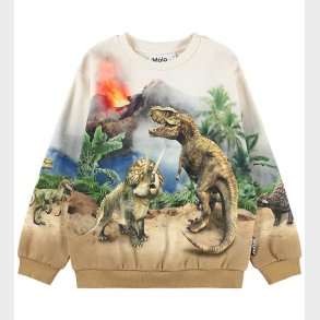 Molo Sweatshirt - Miksi - Hot Spring Dinos