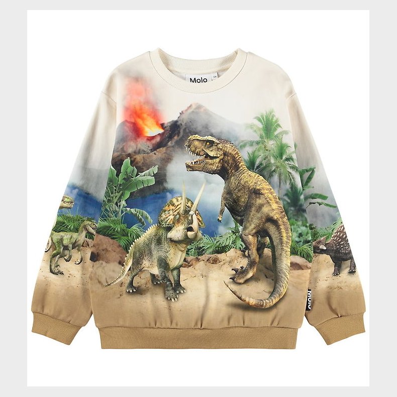 Molo Sweatshirt - Miksi - Hot Spring Dinos