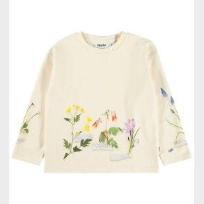 Molo Sweatshirt - Mountoo - Flora Collector