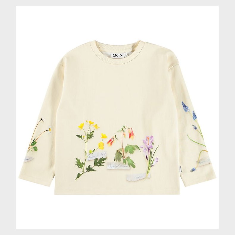 Molo Sweatshirt - Mountoo - Flora Collector