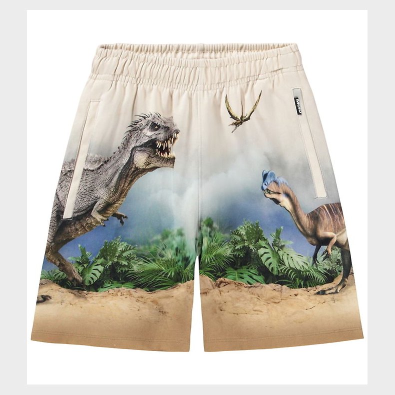 Molo Sweatshorts - Amil - Hot Spring Dinos