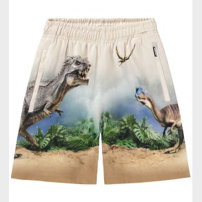 Molo Sweatshorts - Amil - Hot Spring Dinos
