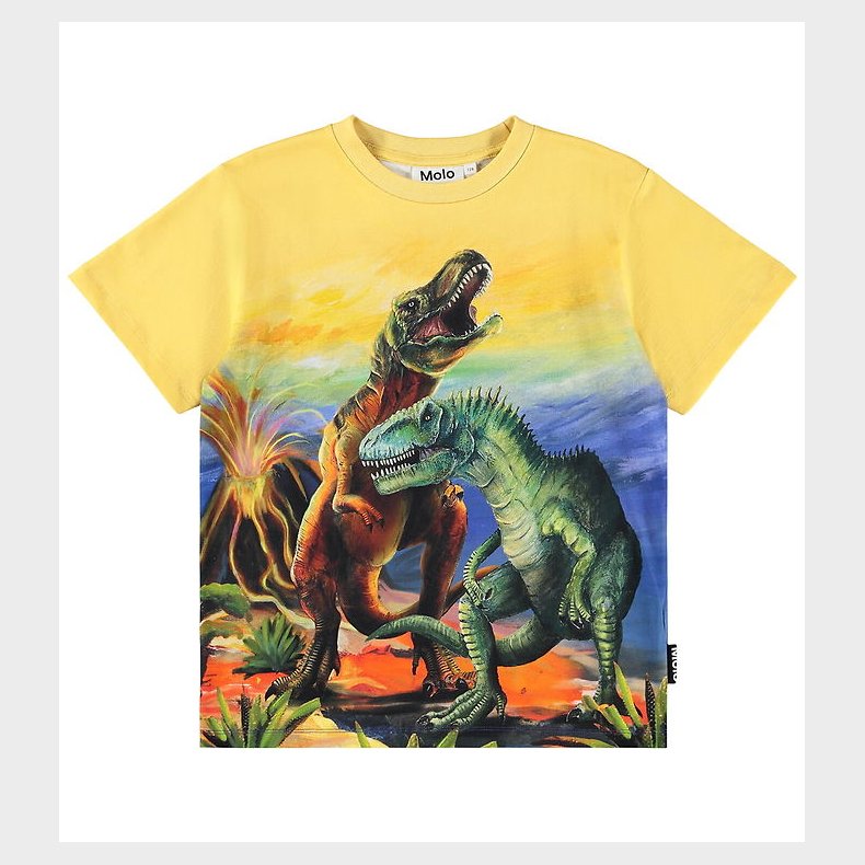 Molo T-shirt - Riley - Dino Art