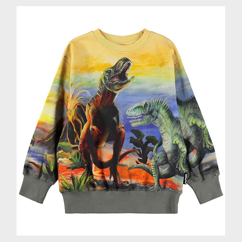 Molo Sweatshirt - Matis - Dino Art