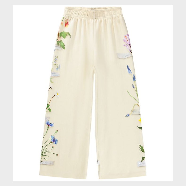 Molo Sweatpants - Aurita - Flora Collector