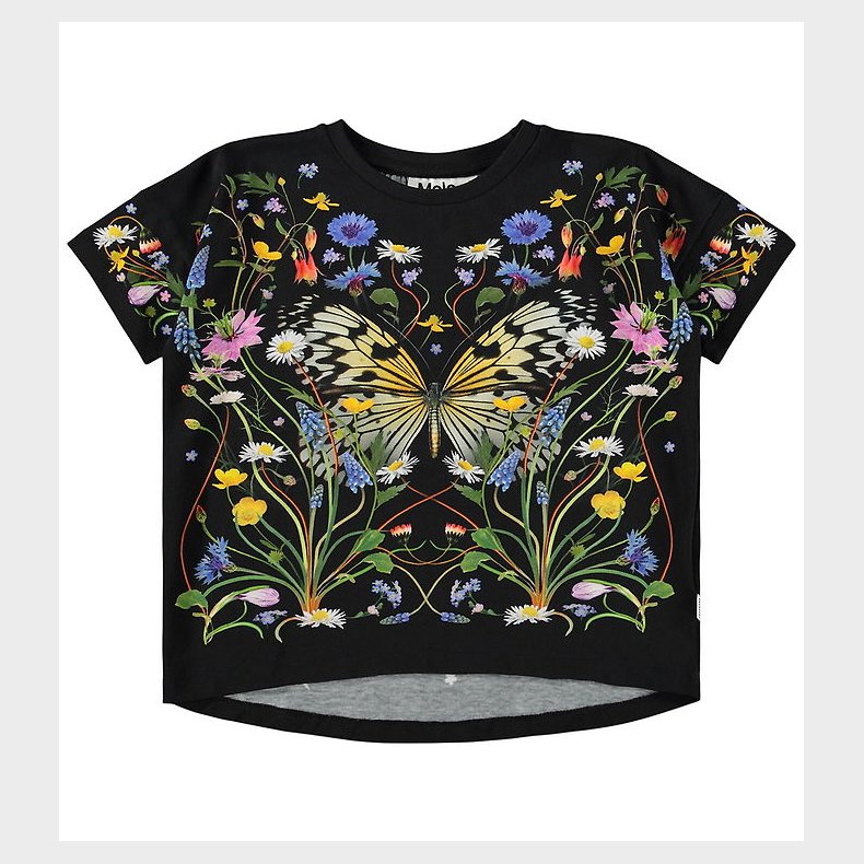 Molo T-shirt - Raeesa - Nouveau Butterfly