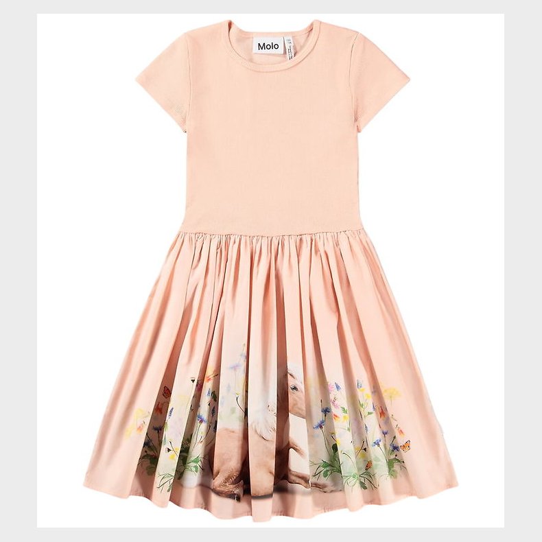 Molo Kjole - Cissa - Siesta