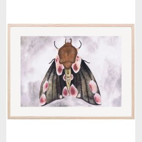 That's Mine Plakat - 30x40 - A Moth's Beauty