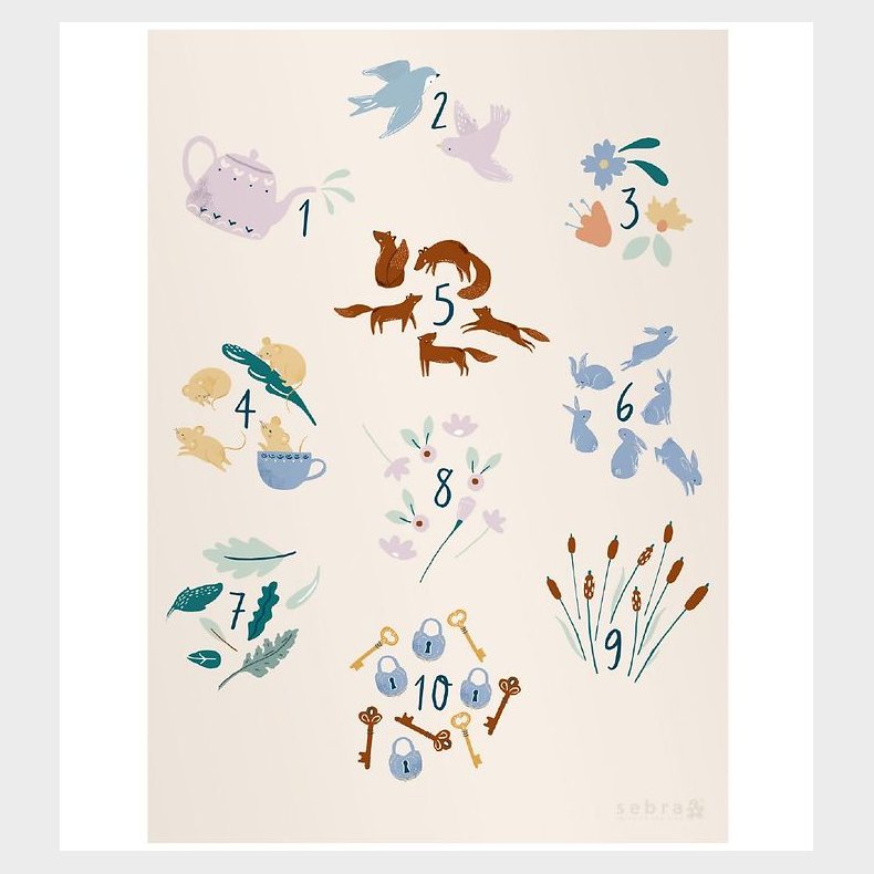 Sebra Plakat - 70x50 - Daydream