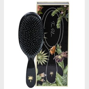 Fan Palm Hrbrste - Large - Stardust