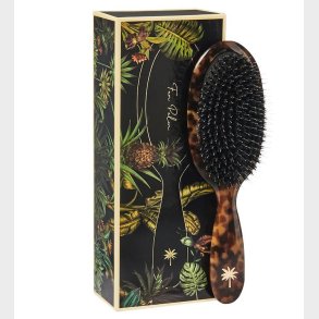 Fan Palm Hrbrste - Medium - Turtle