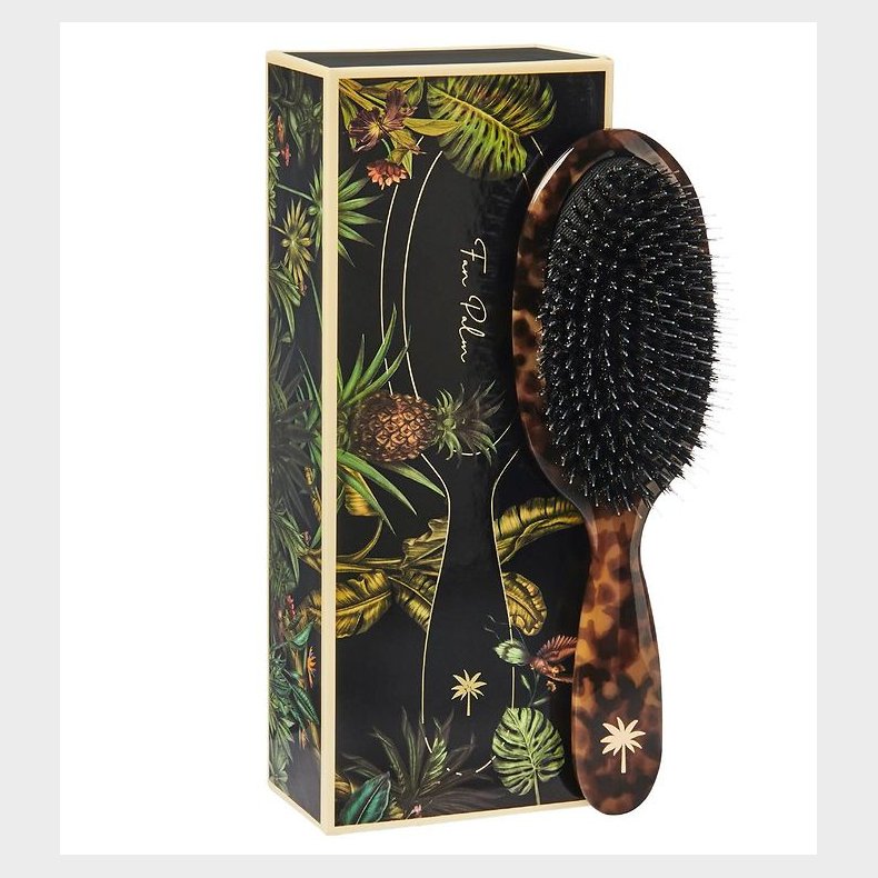 Fan Palm Hrbrste - Medium - Turtle