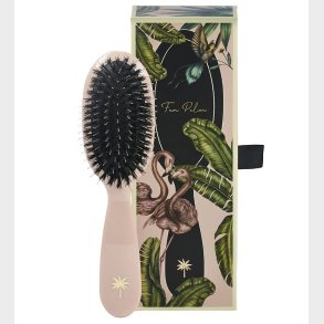 Fan Palm Hrbrste - Small - Paradise