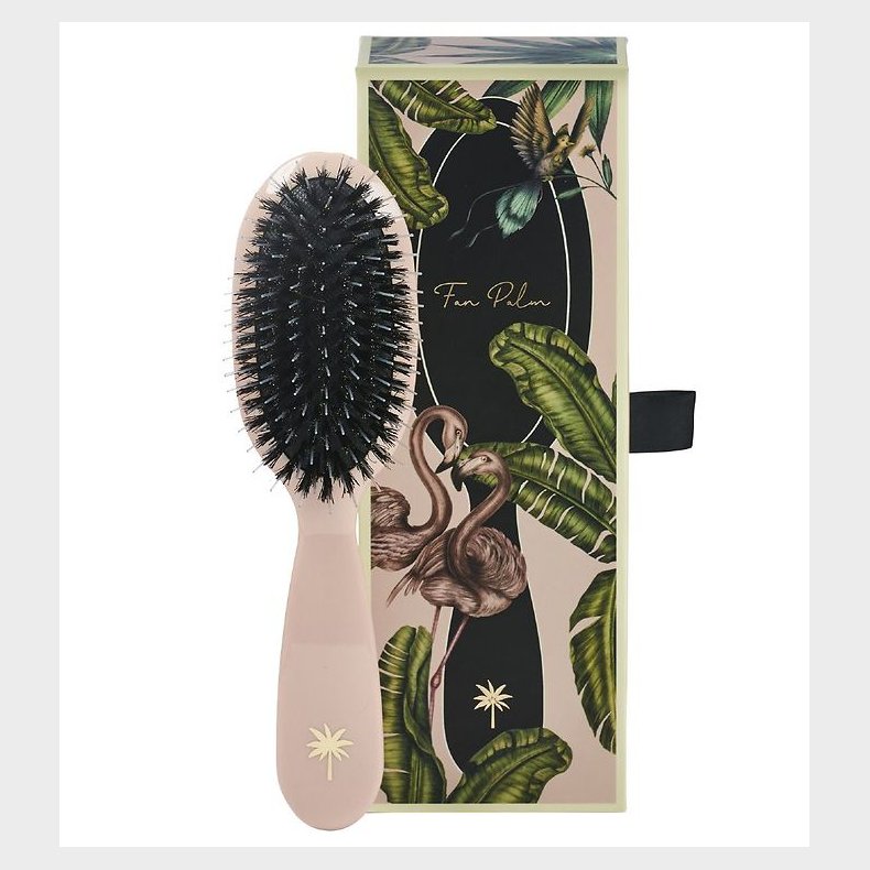 Fan Palm Hrbrste - Small - Paradise