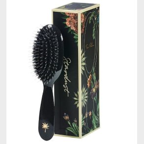 Fan Palm Hrbrste - Small - Stardust