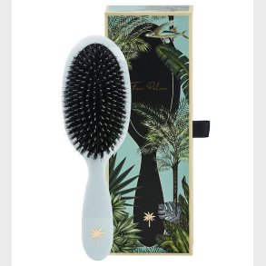 Fan Palm Hrbrste - Medium - Maldives