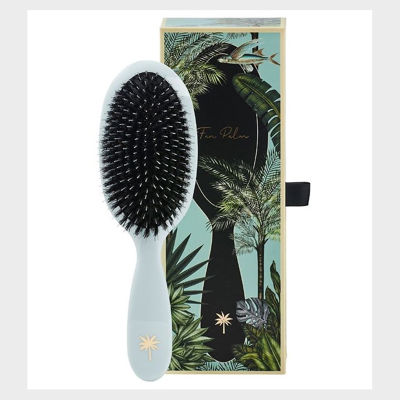 Fan Palm Hrbrste - Medium - Maldives