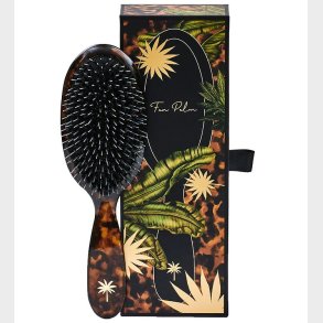 Fan Palm Hrbrste - Medium - Shell Tortoise