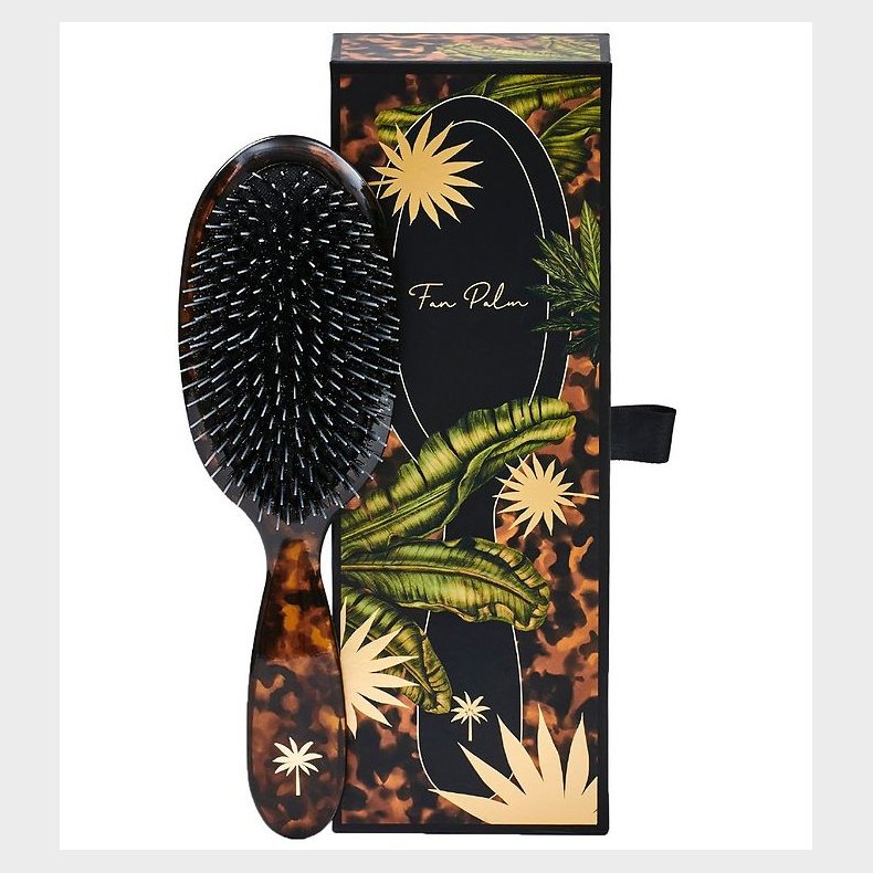 Fan Palm Hrbrste - Medium - Shell Tortoise