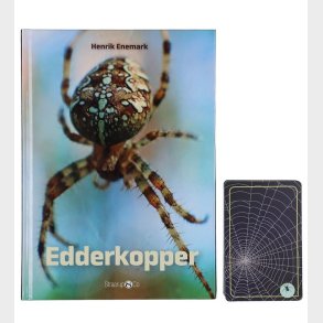 Straarup & Co Sampak - Spil & L�s - Edderkopper