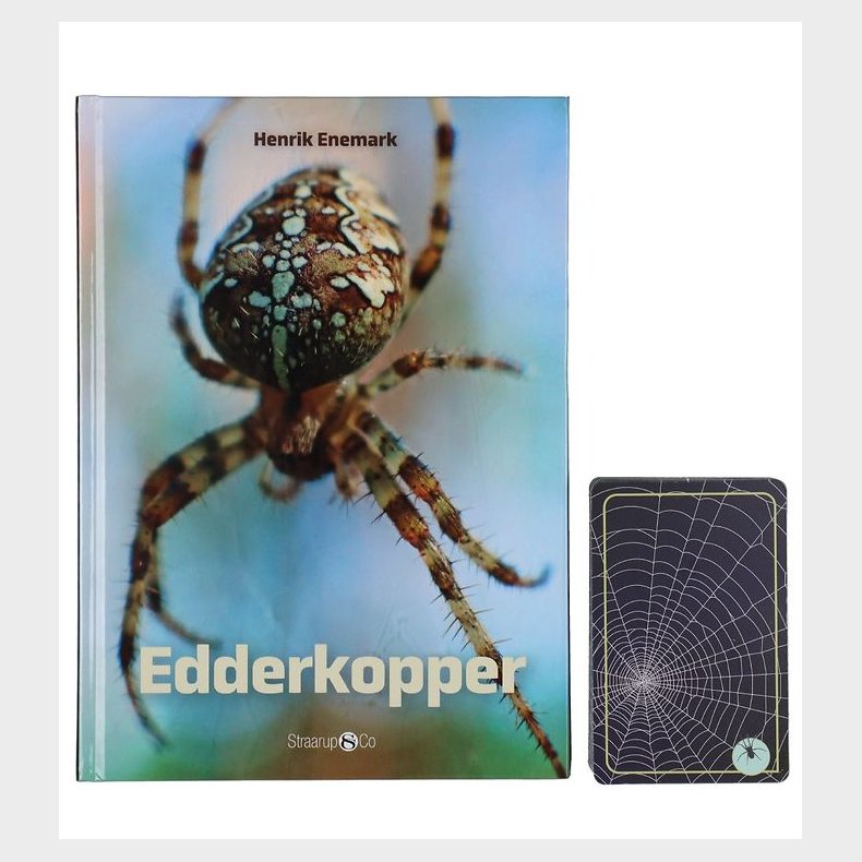 Straarup & Co Sampak - Spil & L�s - Edderkopper