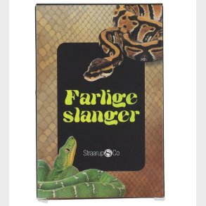 Straarup & Co Kortspil - Spil & L�s - Farlige Slanger