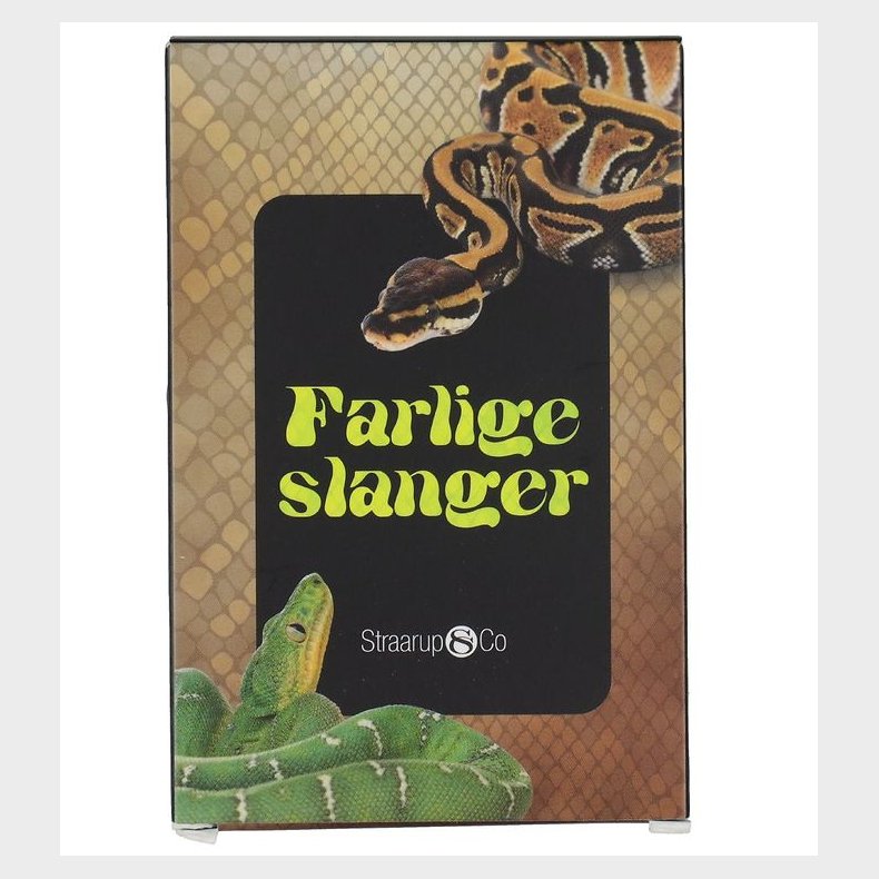 Straarup & Co Kortspil - Spil & L�s - Farlige Slanger