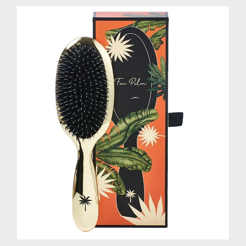 Fan Palm Hrbrste - Medium - Hollywood