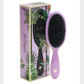 Fan Palm Hrbrste - Medium - Butterfly