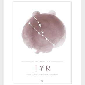 Citatplakat Plakat - A3 - Tyr - Lyserd