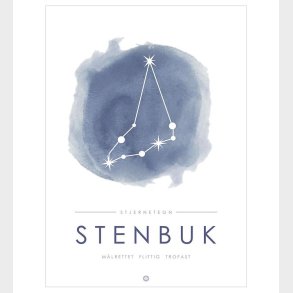 Citatplakat Plakat - A3 - Stjernebillede - Stenbuk - Bl