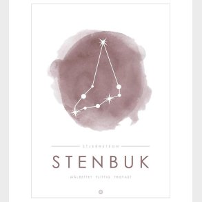 Citatplakat Plakat - A3 - Stjernebillede - Stenbuk - Lyserd