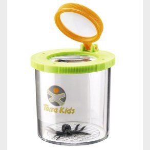 Haba Terra Kids Legetj - Insektglas