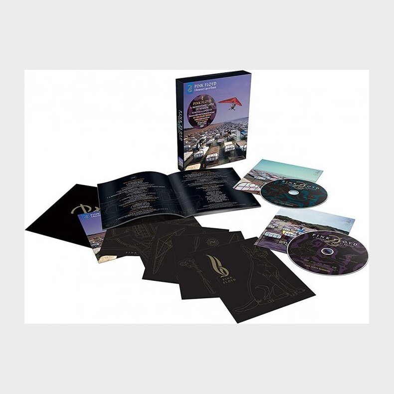 Pink Floyd - A Momentary Lapse Of Reason - Cd+dvd - CD
