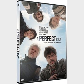 A Perfect Day - DVD - Film