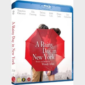 A Rainy Day In New York - Blu-Ray