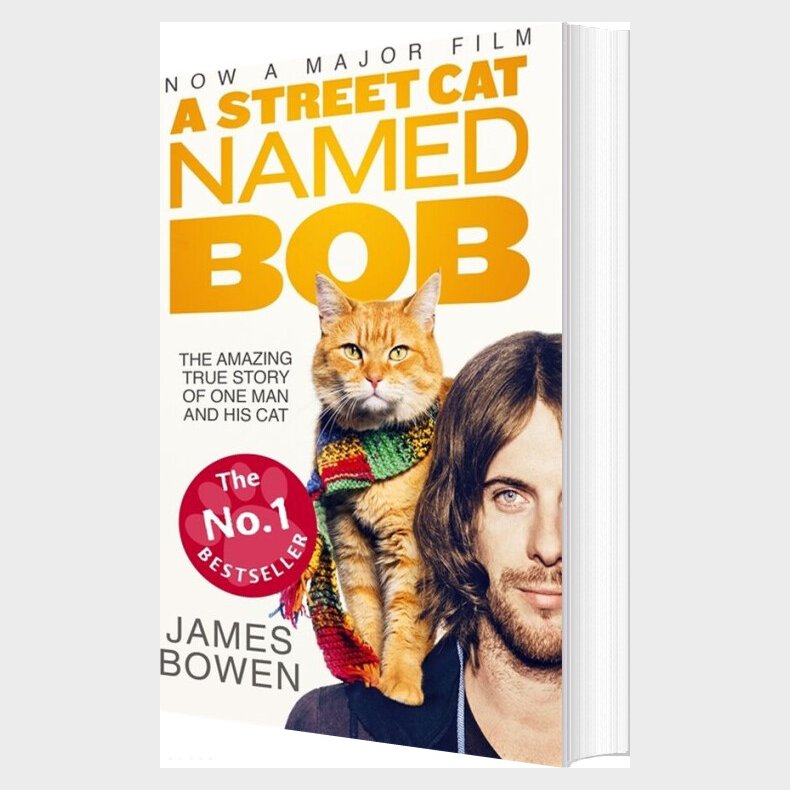 A Street Cat Named Bob - James Bowen - English Book