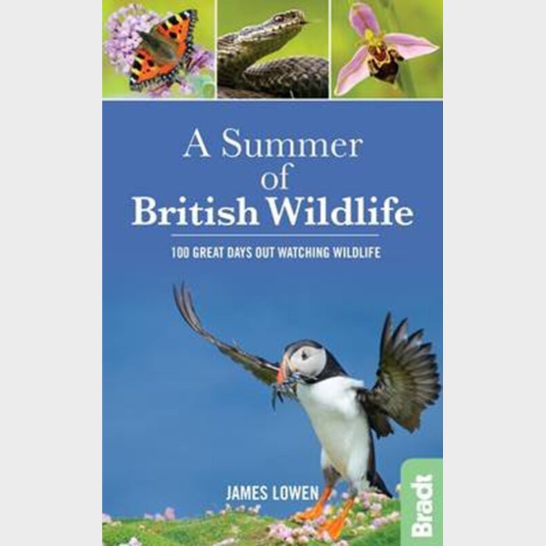 Bradt - A Summer Of British Wildlife  - James Lowen - English Book