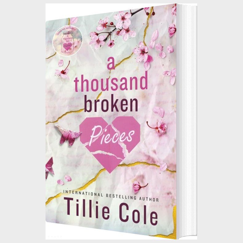 A Thousand Broken Pieces - Tillie Cole - English Book