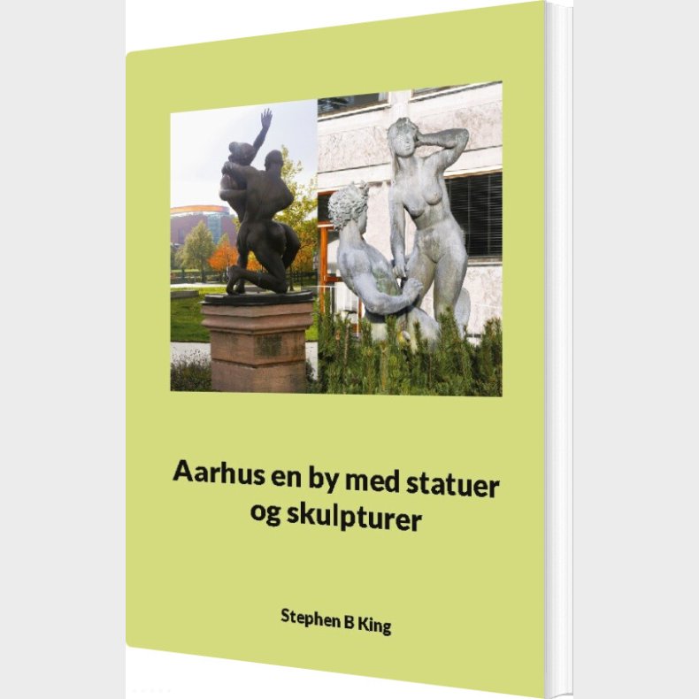 Aarhus En By Med Statuer Og Skulpturer - Stephen B King - Bog