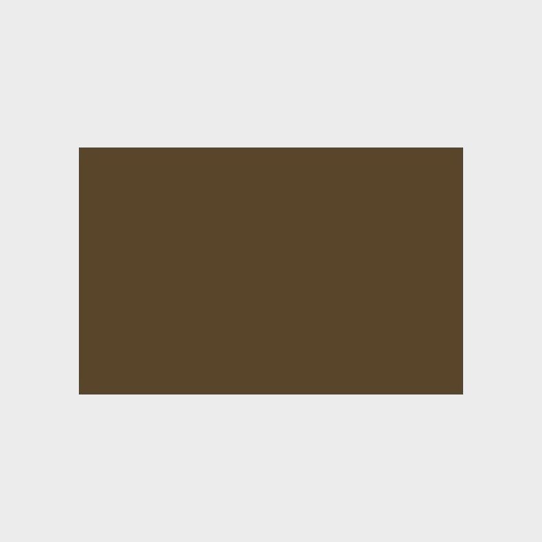 Liquitex - Spraymaling - Raw Umber 400 Ml