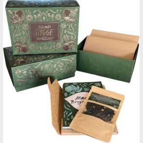 Adventshygge 2025 - Arthur Conan Doyle - Bog