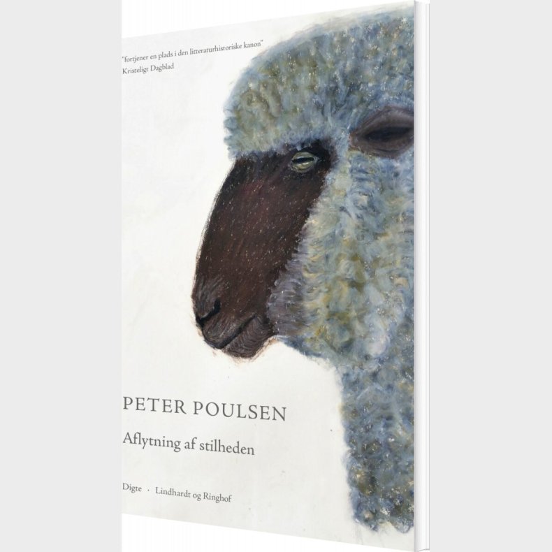 Aflytning Af Stilheden - Peter Poulsen - Bog